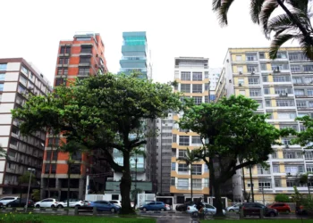 Foto: Vanessa Rodrigues/A Tribuna Jornal