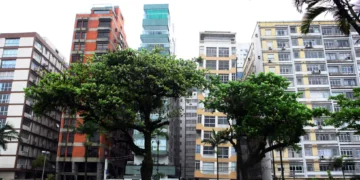 Foto: Vanessa Rodrigues/A Tribuna Jornal