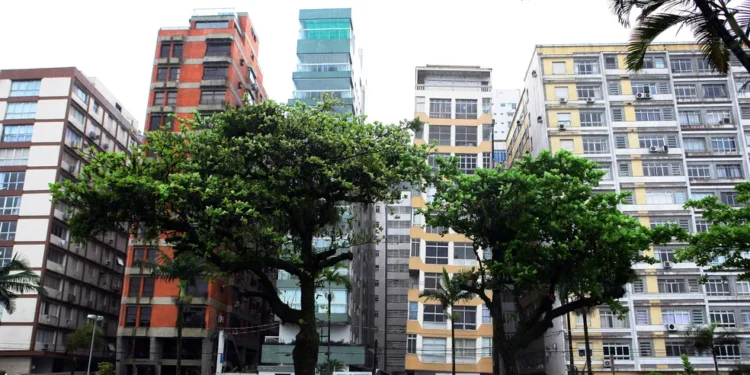 Foto: Vanessa Rodrigues/A Tribuna Jornal