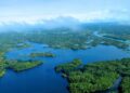 Vista aérea da floresta amazônica.

Reprodução: Neil Palmer / Flickr