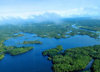 Vista aérea da floresta amazônica.

Reprodução: Neil Palmer / Flickr