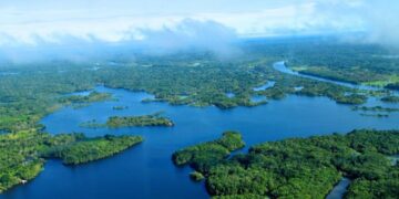 Vista aérea da floresta amazônica.

Reprodução: Neil Palmer / Flickr