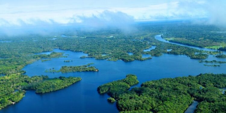 Vista aérea da floresta amazônica.

Reprodução: Neil Palmer / Flickr