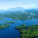Vista aérea da floresta amazônica.

Reprodução: Neil Palmer / Flickr