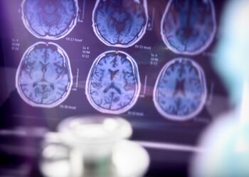 Foto: Divulgação/IgesDF