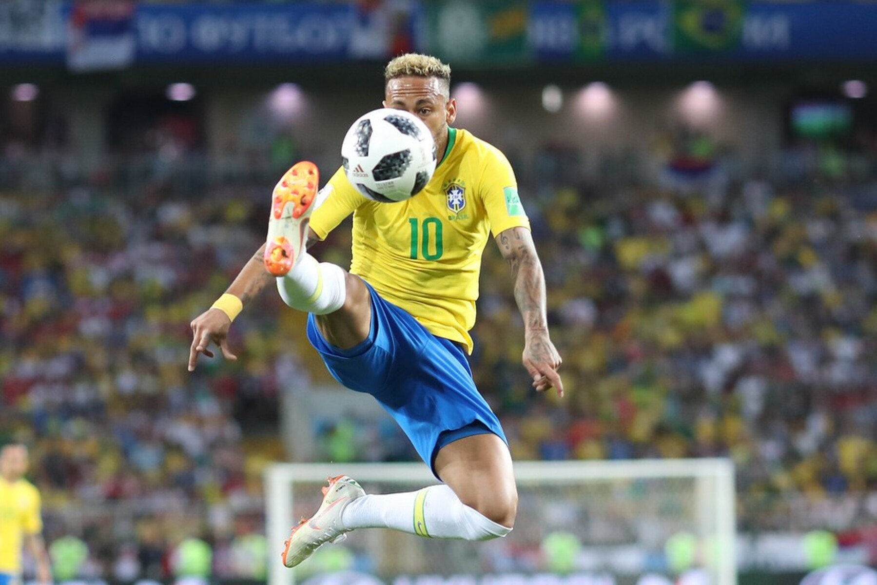 O sertão da seleção 