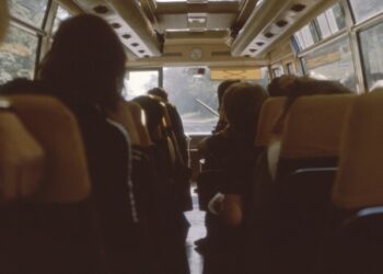 Reprodução: Unsplash / Annie Spratt