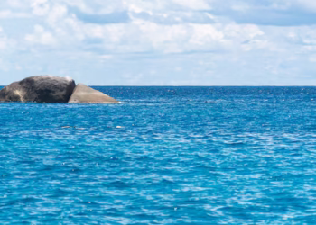 Eles estavam construindo uma ilha artificial e descobriram um antigo continente submerso