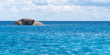 Eles estavam construindo uma ilha artificial e descobriram um antigo continente submerso