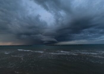 Reprodução: Unsplash / Carlo