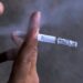 Ao respirar a fumaça do cigarro, os não fumantes correm o risco de ter as mesmas doenças que o fumante. Foto: Agência Brasil
