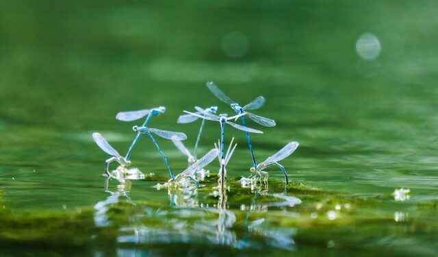 Reprodução: Unsplash / Clément Falize