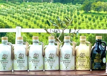 Foto: Divulgação/Estância das Oliveiras