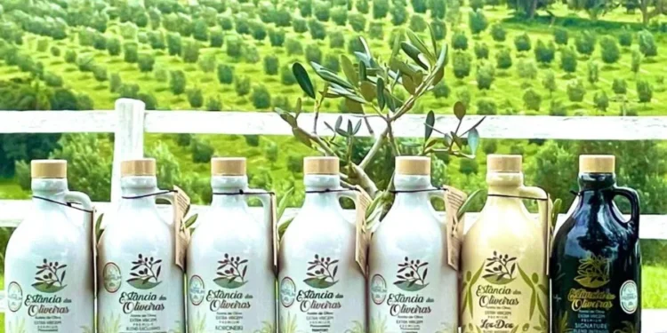 Foto: Divulgação/Estância das Oliveiras