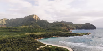 A melhor praia do mundo fica no Brasil, mas para chegar até ela você terá que enfrentar a "escada do medo"