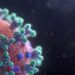 Ilustração: Unsplash / Fusion Medical Animation
