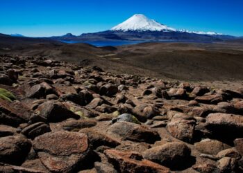 Reprodução: Unsplash / Hugo Kruip