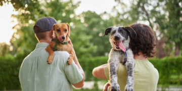 Governo toma decisão inédita e permite faltar o trabalho para cuidar de animais, em todo esse país