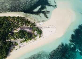 Reprodução: Unsplash / Josaia Cakacaka