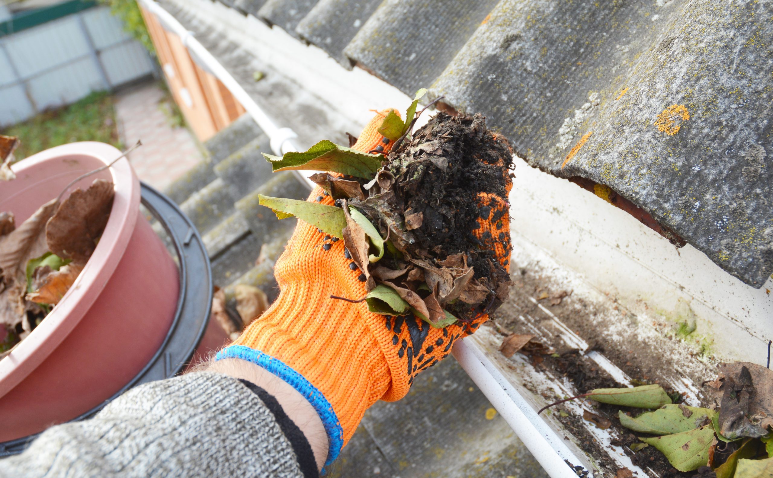 As tarefas de limpeza que você só precisa fazer uma vez por ano, segundo especialistas