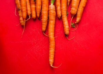 Reprodução: Unsplash / Louis Hansel