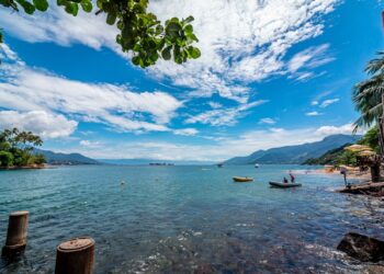 Reprodução: Unsplash / Marcos Assis