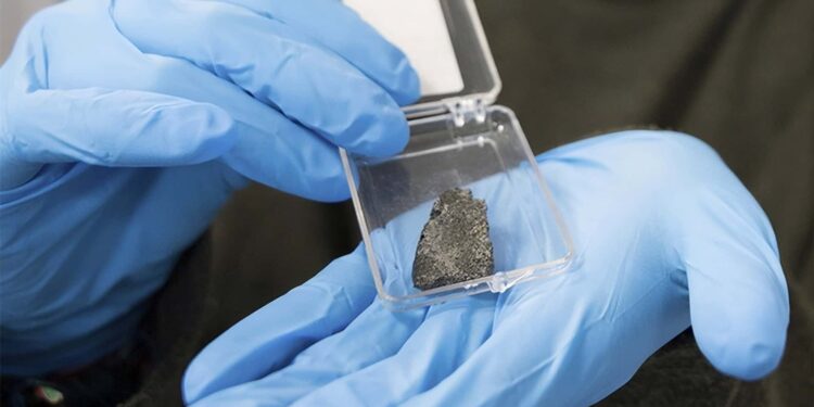 Foto: Egoi Markaida/EHU