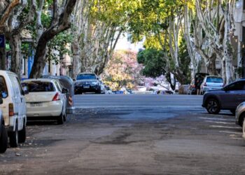 Reprodução: Unplash / Nikolai Kolosov