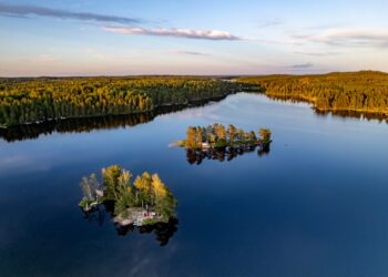 Reprodução: Unsplash / Patrick Federi