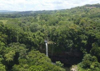 Ilha "esquecida" no Brasil tem mais de 1,6 milhão de km² e é tão grande que supera países da Europa