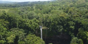 Ilha "esquecida" no Brasil tem mais de 1,6 milhão de km² e é tão grande que supera países da Europa