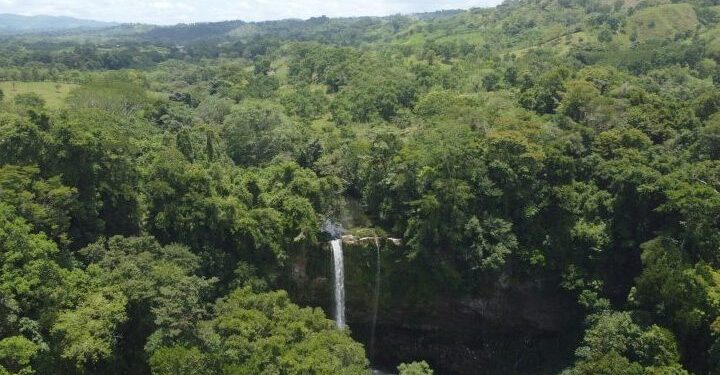 Ilha "esquecida" no Brasil tem mais de 1,6 milhão de km² e é tão grande que supera países da Europa