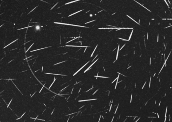 Foto: Global Meteor Network