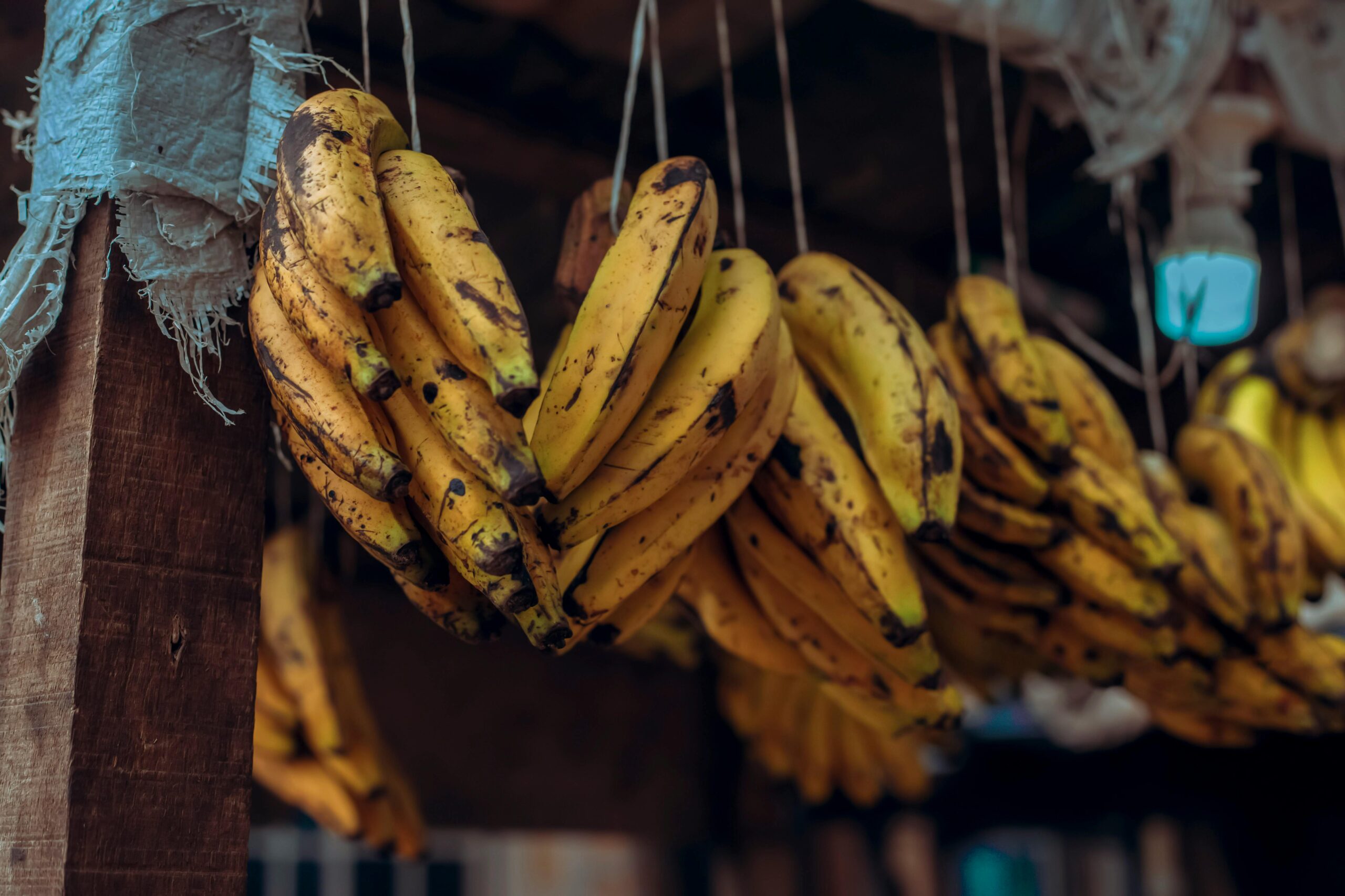 Do corpo à mente: especialistas revelam benefícios da banana no organismo humano