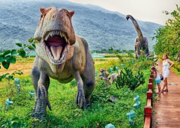 Reprodução: Pexels / Bulat Khamitov