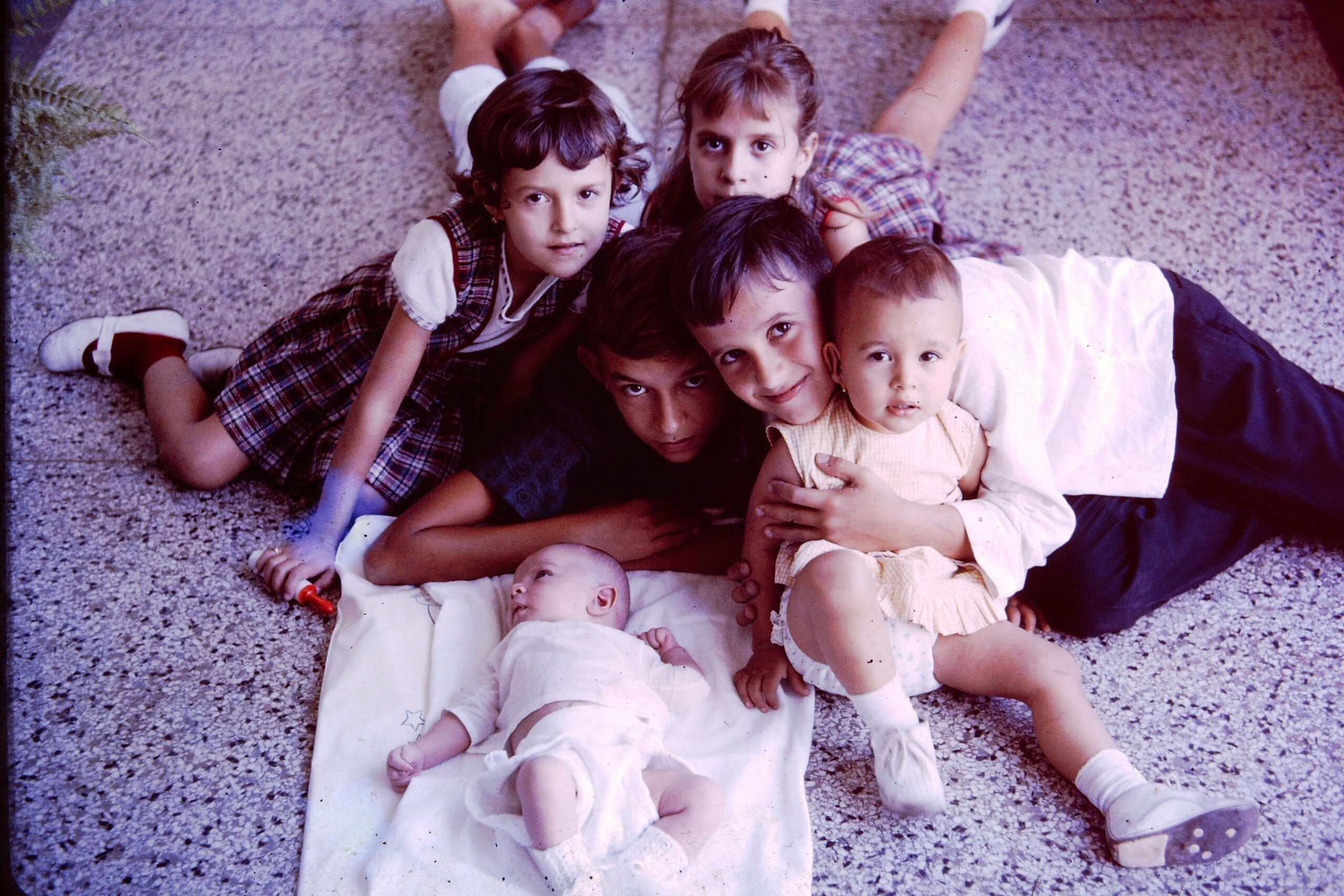 Especialistas respondem ao questionamento debatido nas famílias há anos: qual filho tem QI mais alto?