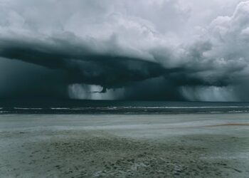 Reprodução: Pexels / Connor Scott McManus