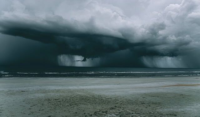 Reprodução: Pexels / Connor Scott McManus