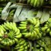 Banana é uma das frutas mais consumidas no Brasil. Foto: Dilpreetkaur Matta