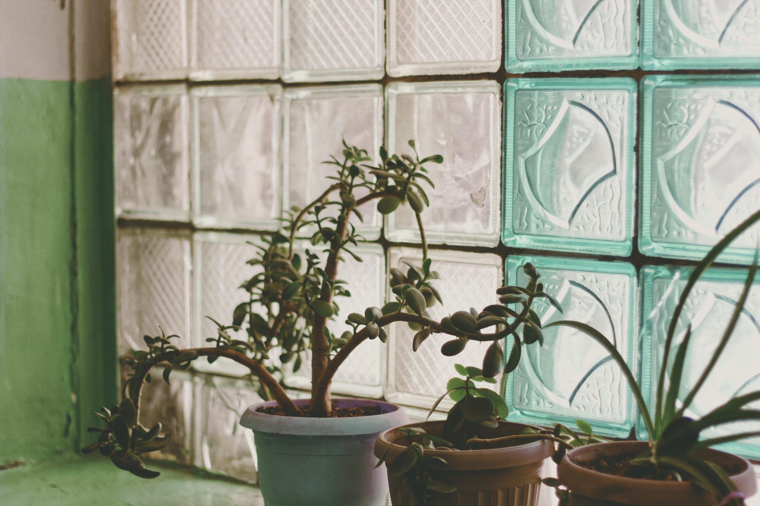 Nova tendência para decorar banheiros une privacidade e elegância ao mesmo tempo