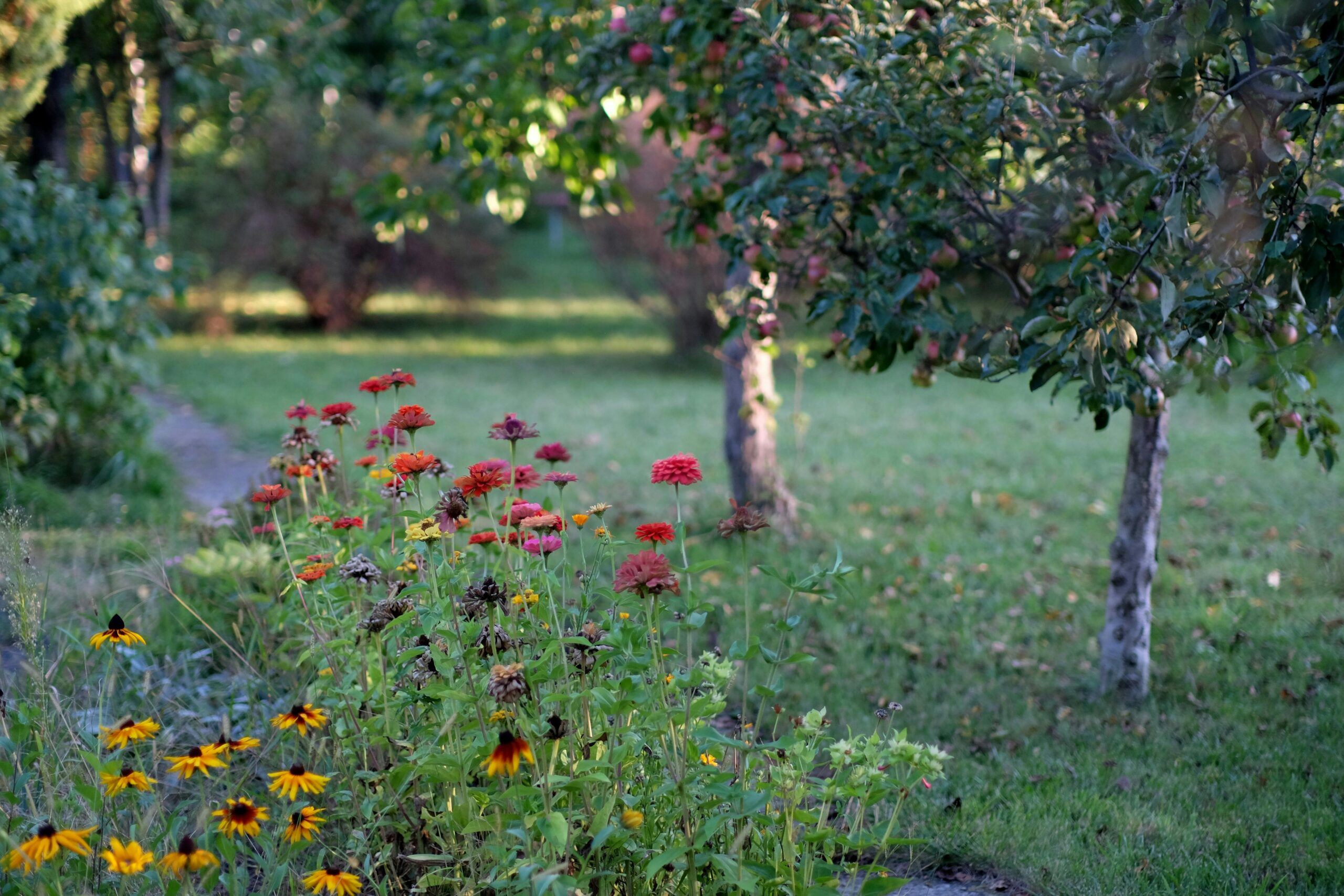 Menos é mais: a nova tendências nos jardins das casas brasileiras