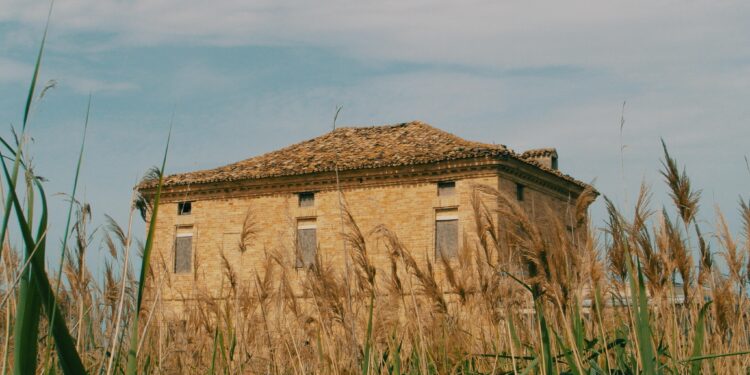 Foto: Leonardo Barucci (imagem ilustrativa)