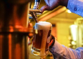 Reprodução: Unsplash / Poojitha Prasad