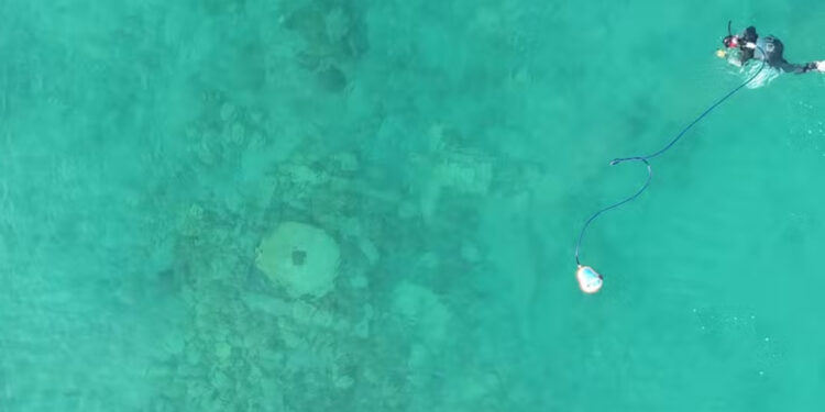 Foto: Instituto de Arqueologia da Academia Russa de Ciências