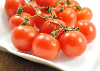 Onde guardar tomates para que eles fiquem mais saborosos e duradouros