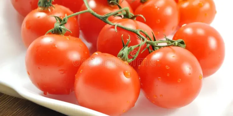 Onde guardar tomates para que eles fiquem mais saborosos e duradouros