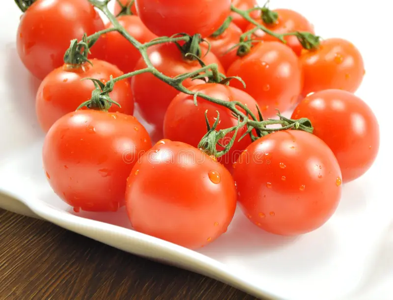 Onde guardar tomates para que eles fiquem mais saborosos e duradouros