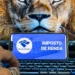Reprodução: Rafa Neddermeyer/Agência Brasil