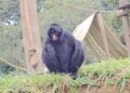 Foto: Zoológico de Sorocaba