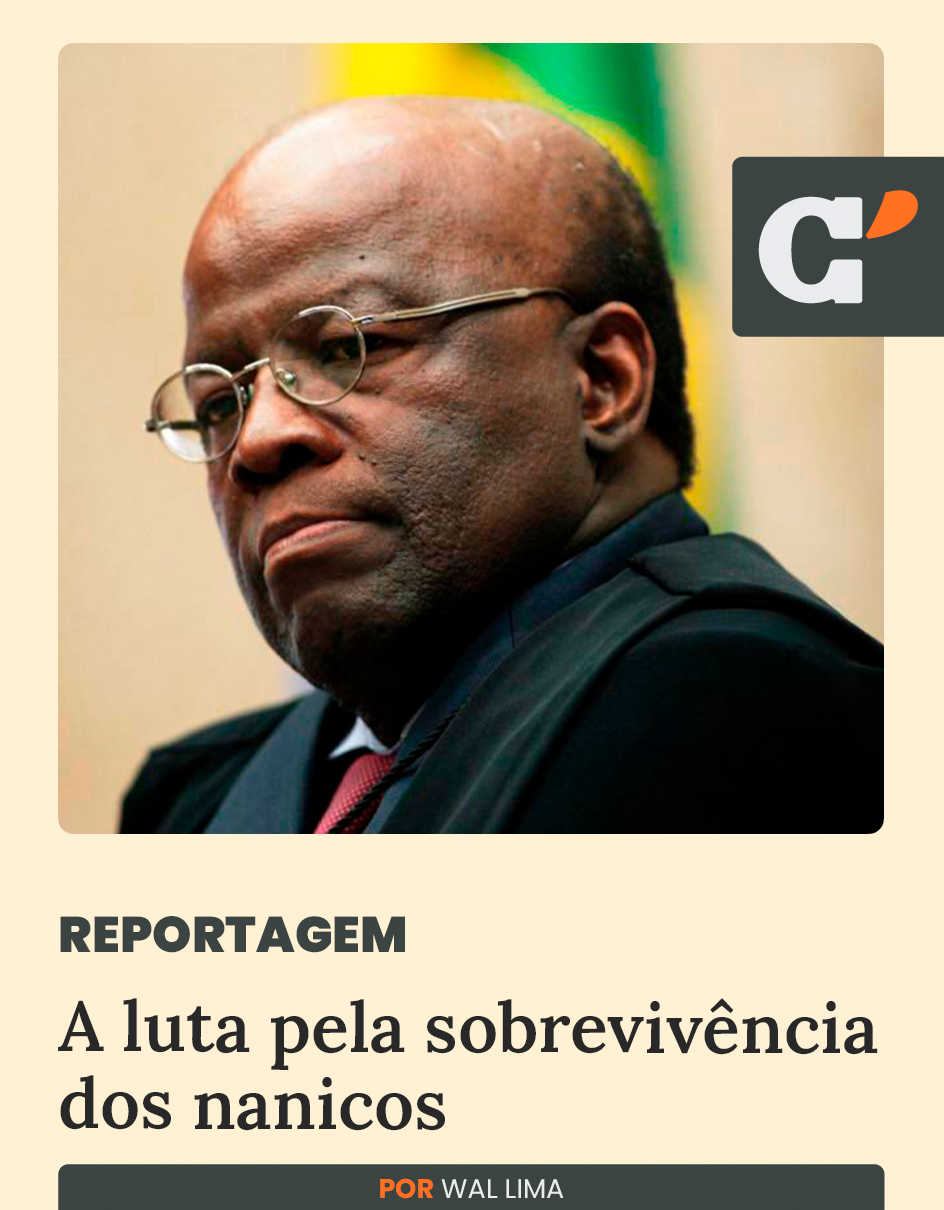 Capa edição